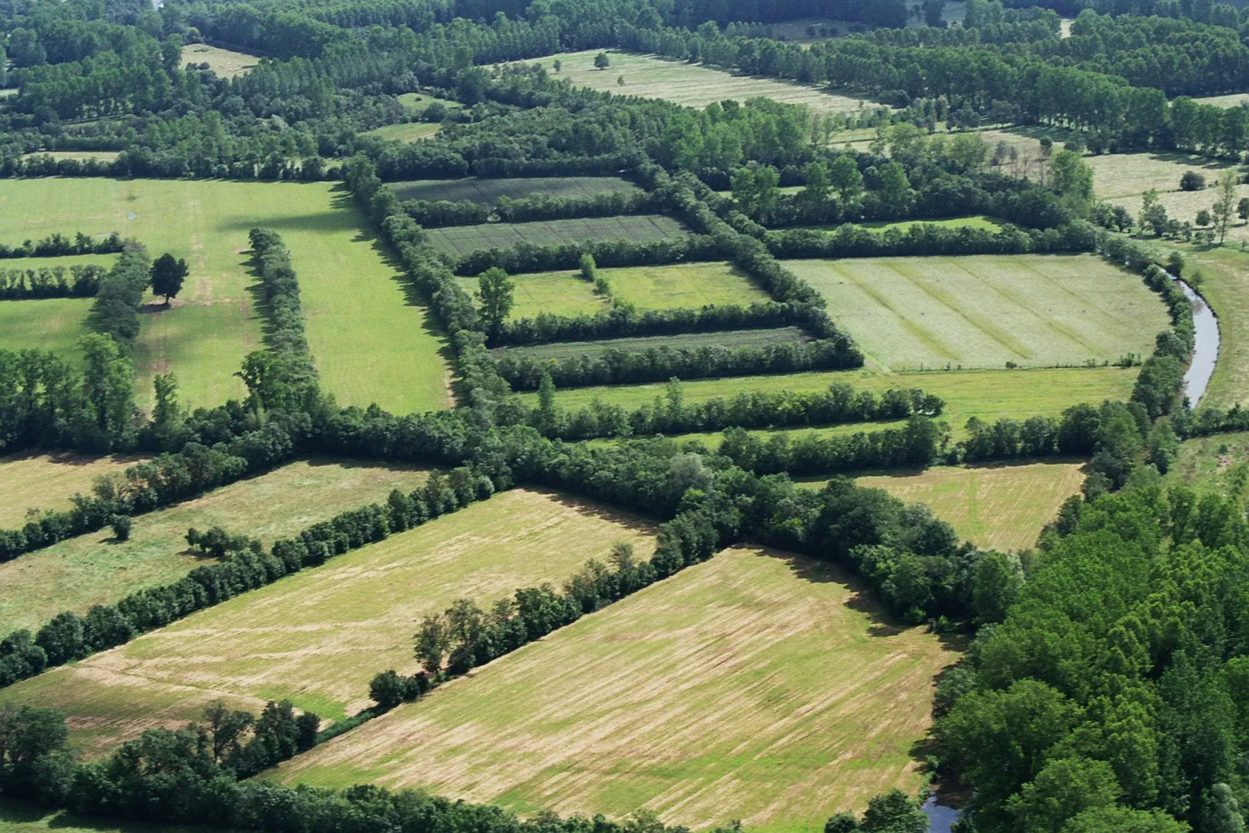 Découverte de Niort et ses villages maraîchins en voiture Niort Nouvelle-Aquitaine