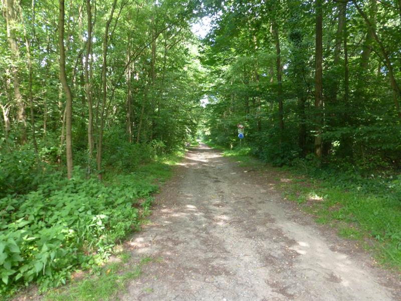 Circuit découverte Sentier botanique de Gries Gries Grand Est