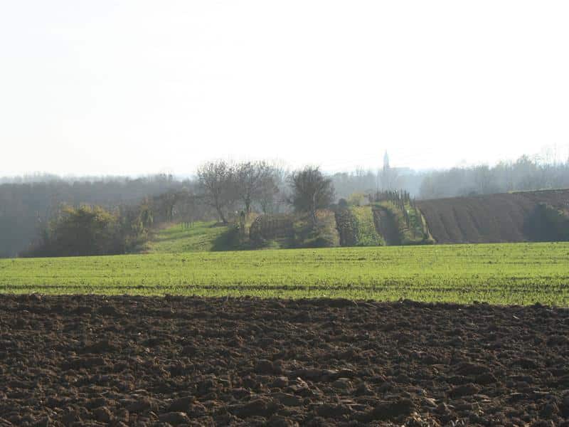 Circuit découverte Le vallon du Lohgraben Gries Grand Est