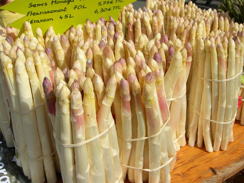 BL502 Asperges et colombages Gambsheim Grand Est