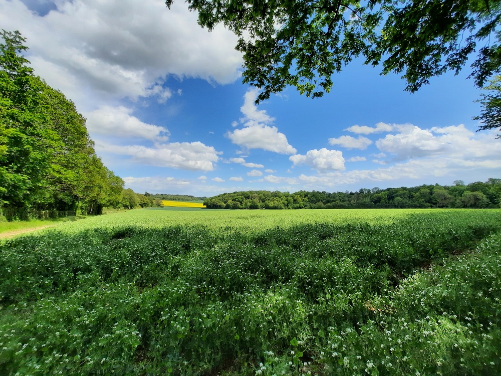 Des jardinets au bois Louvet Haudivillers Hauts-de-France