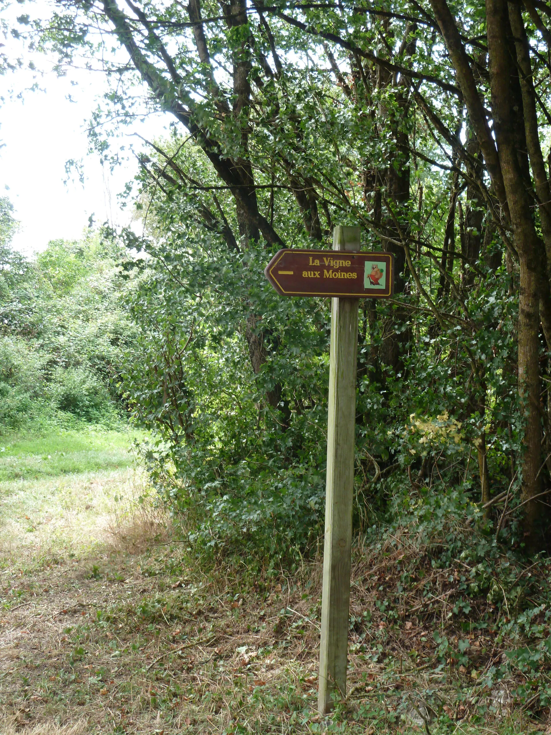 La Vigne aux Moines / Boucle 20 Antigny Nouvelle-Aquitaine