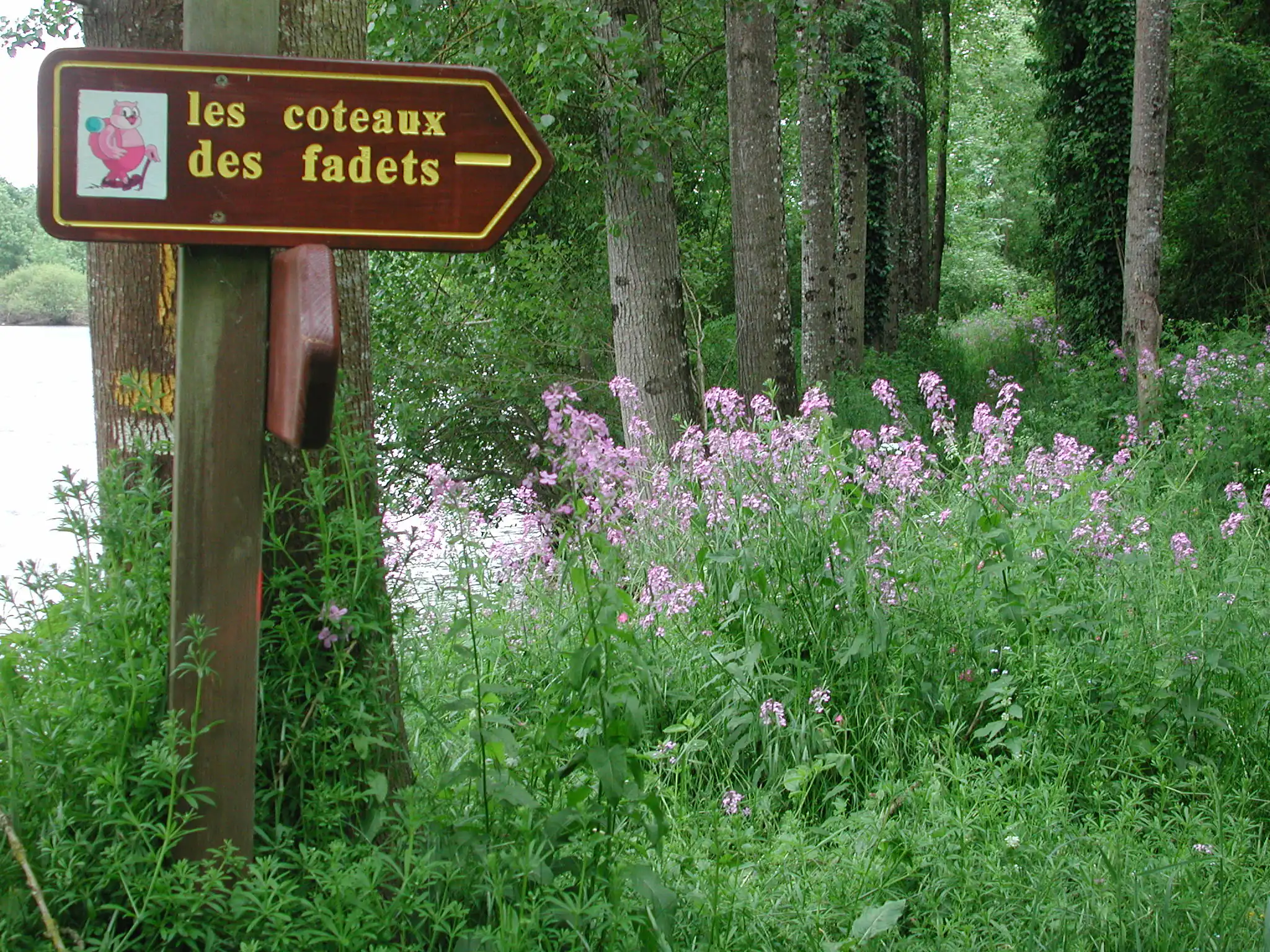 Les Coteaux des Fadets / Boucle 1 Persac Nouvelle-Aquitaine