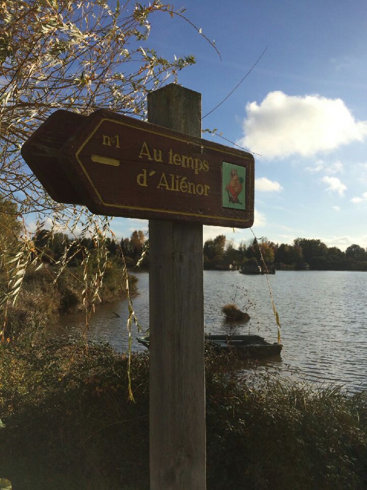 Au Temps D'Aliénor / Boucle 1 Pressac Nouvelle-Aquitaine