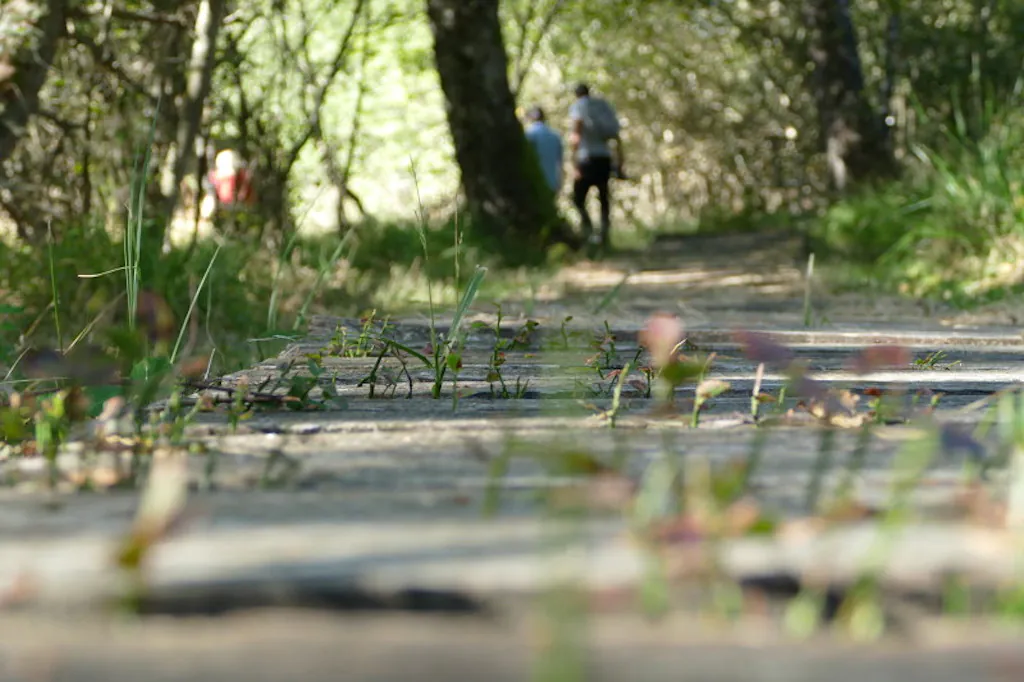 Circuit de randonnée Jean Guitton Champagnat Nouvelle-Aquitaine