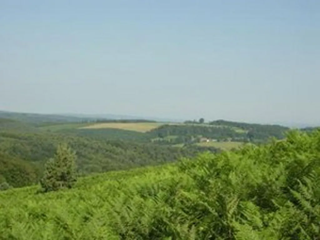 Sentier d'interprétation des landes de Gioux Gioux Nouvelle-Aquitaine