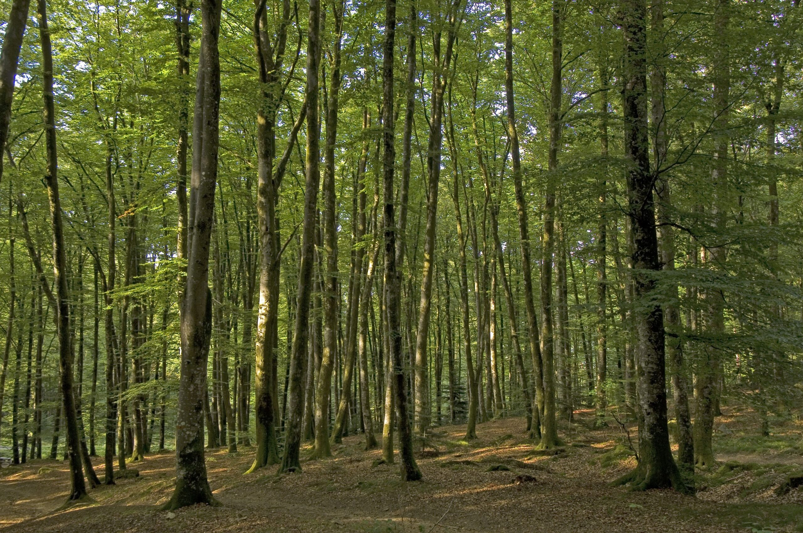 Circuit Trail n°3 La grande carrière Guéret Nouvelle-Aquitaine