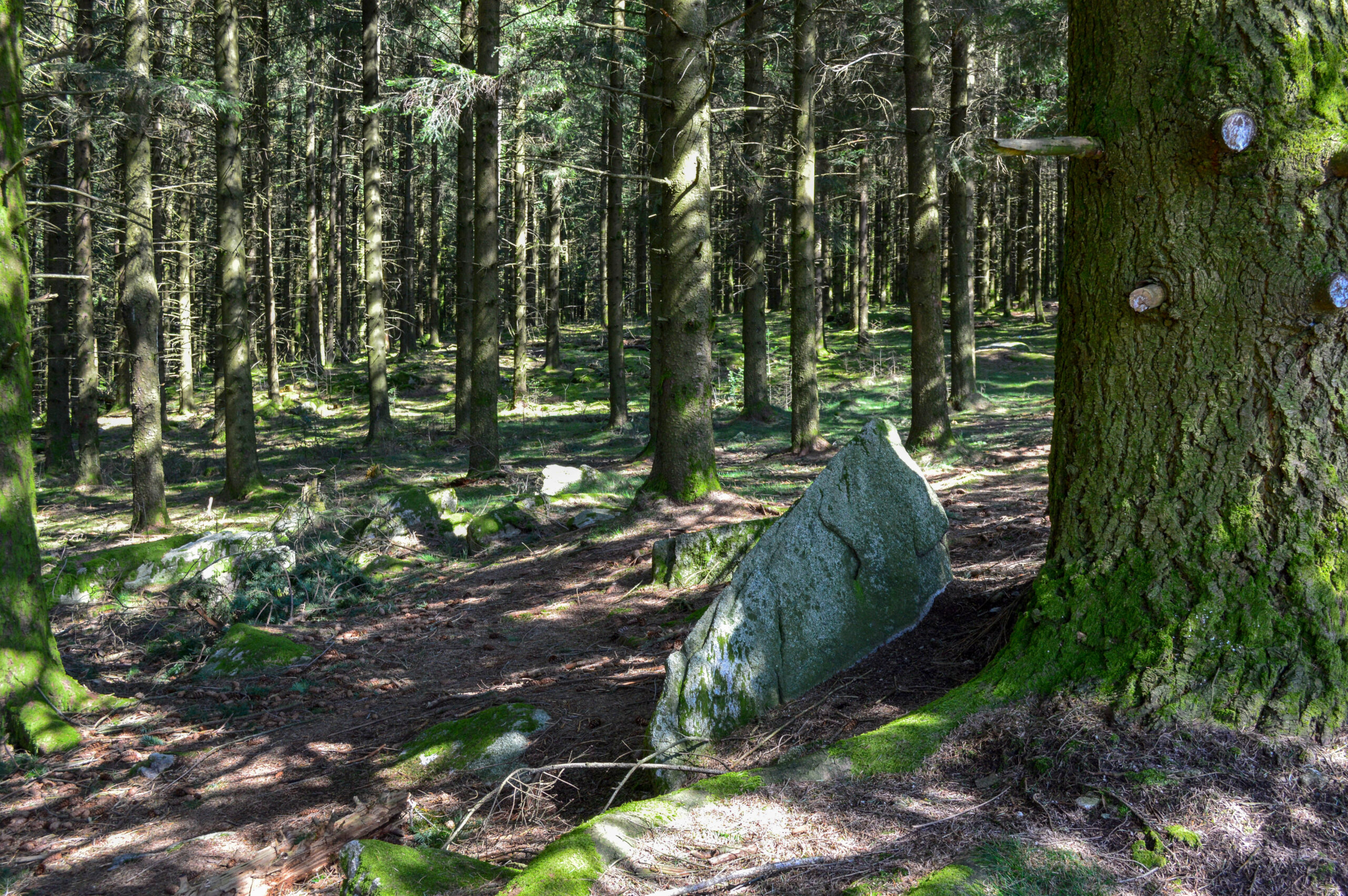 Circuit Trail n°5 les rochers de Chabrières Guéret Nouvelle-Aquitaine