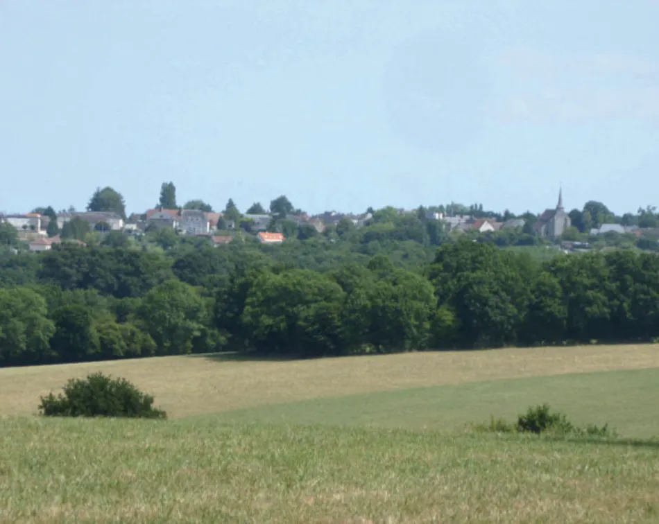 Circuit pédestre Le Pont à la Chatte Bonnat Nouvelle-Aquitaine