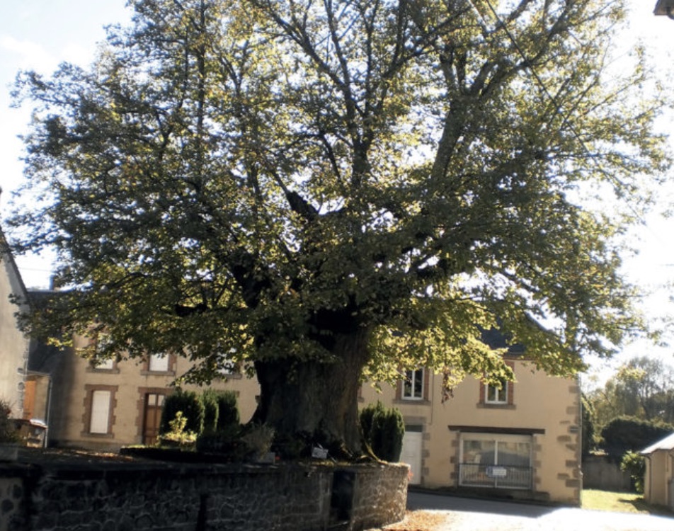 Circuit pédestre Les Libellules Mortroux Nouvelle-Aquitaine