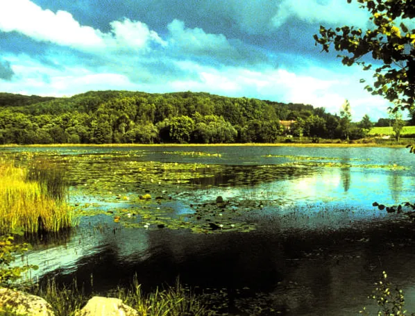 Circuit pédestre n°B2 La Forêt de Chabaud Bénévent-l'Abbaye Nouvelle-Aquitaine