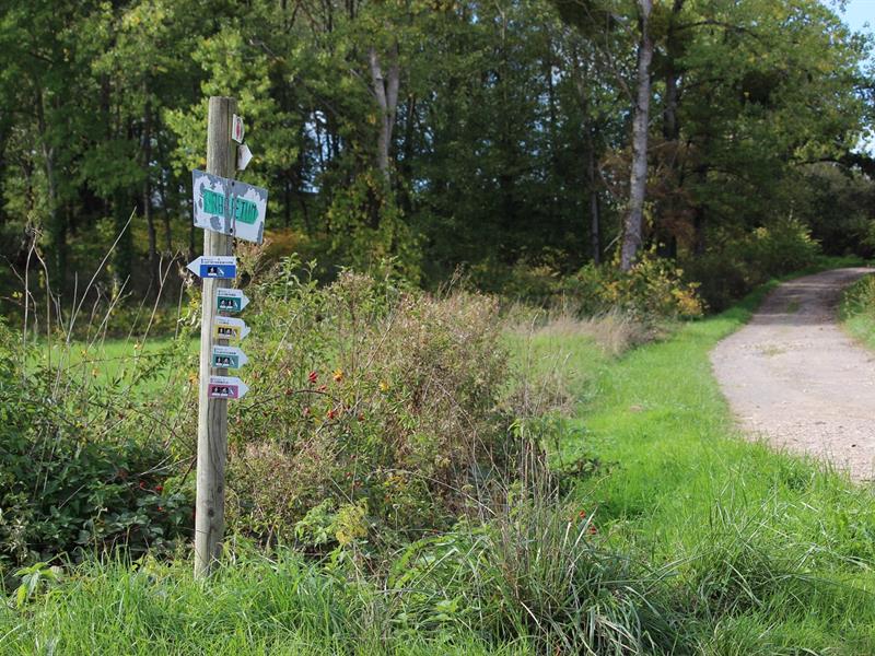 Balades et randonnées à Vathiménil la corvée Vathiménil Grand Est