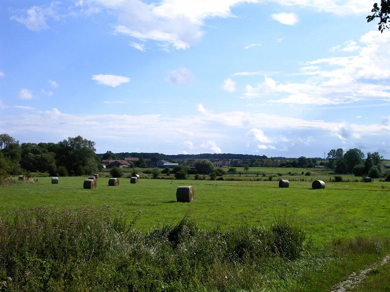 Itinéraire découverte autour de Xermamenil Xermaménil Grand Est