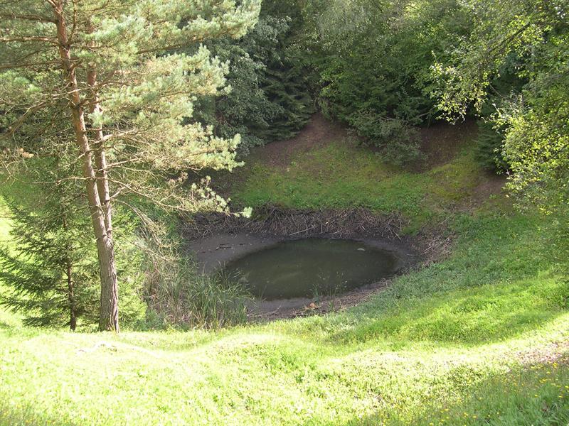 Circuit pédestre boucle des entonnoirs Reillon Grand Est