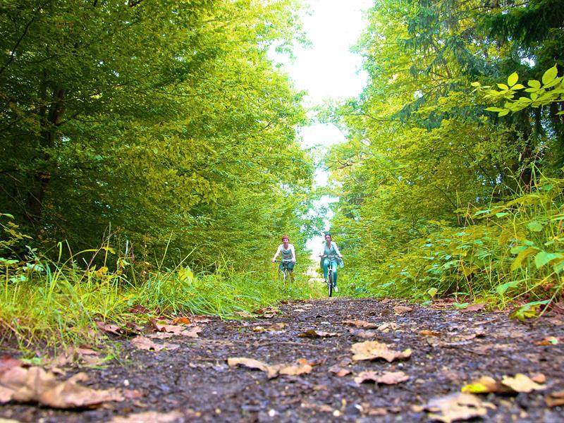 Val de Meurthe circuit vtt Damelevières Grand Est