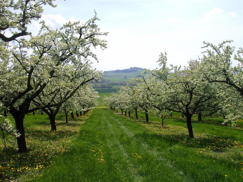 Val de Meurthe les Hauts de Vigneulles Vigneulles Grand Est