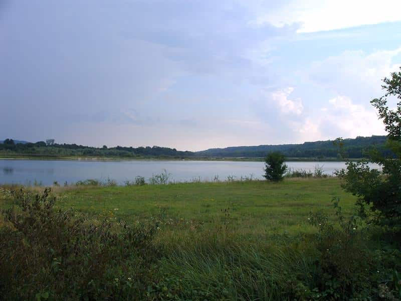 Balade autour des étangs du grand rozot Crévéchamps Grand Est