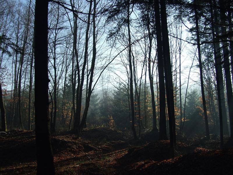 Circuit de la Blette Montigny Grand Est