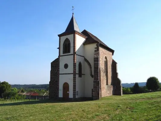 CIRCUIT DE L'ABBAYE Saint-Sauveur Grand Est