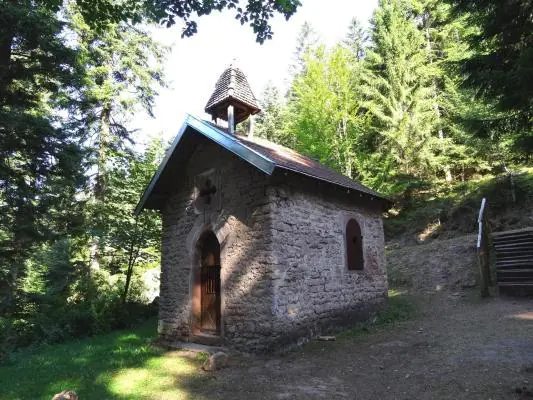 CIRCUIT DE LA SOURCE DE LA VEZOUZE Saint-Sauveur Grand Est