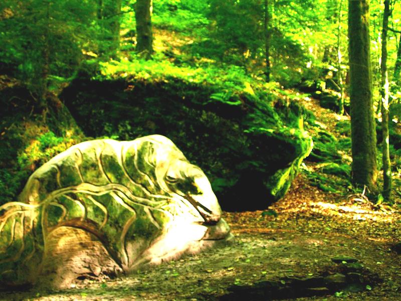 Le vallon Saint-Martin Vioménil Grand Est