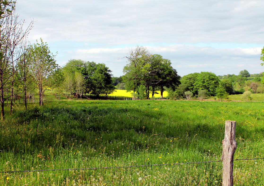 Circuit pédestre n°4 le bois de Derrière Bazelat Nouvelle-Aquitaine