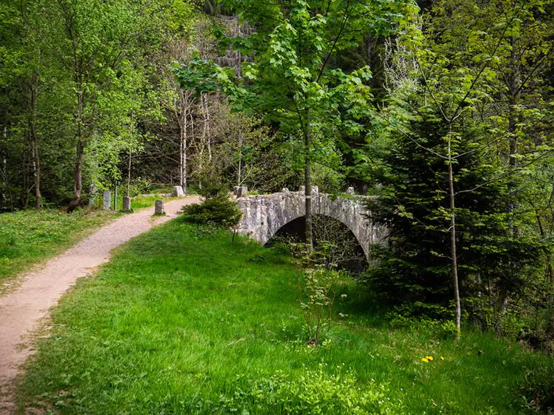 BALADE POUSSETTE LES PERLES DE LA VOLOGNE Xonrupt-Longemer Grand Est