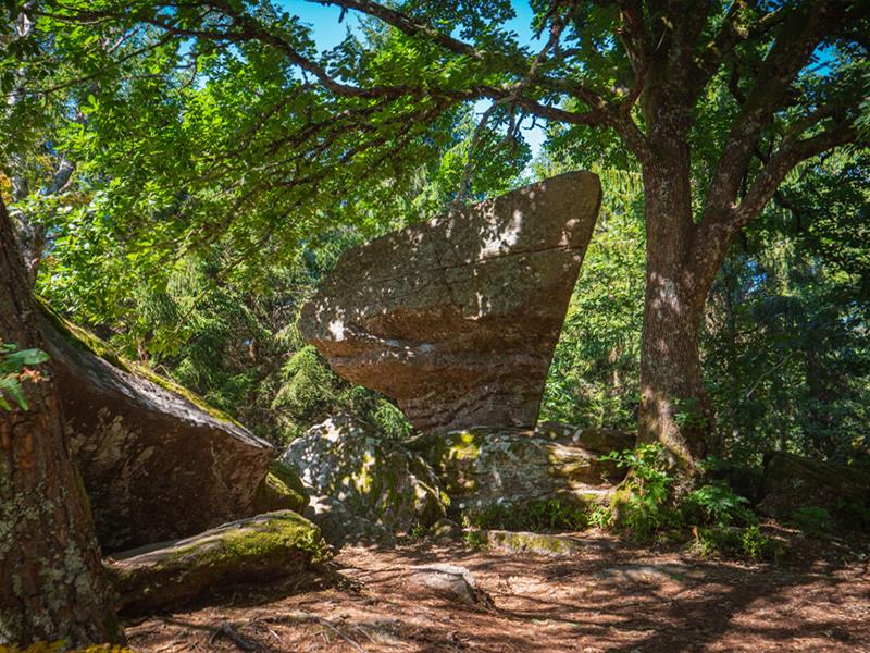 Circuit vtt n°1 (bleu) Les roches de la moulure Le Tholy Grand Est Circuit vtt n°1 (bleu) Les roches de la moulure Le Tholy Grand Est