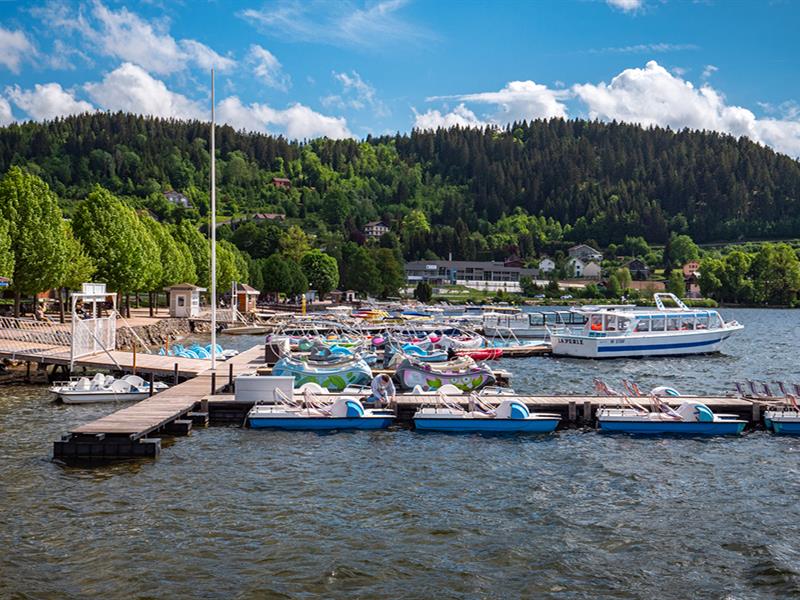 Balade du Tour du lac de Gérardmer Gérardmer Grand Est