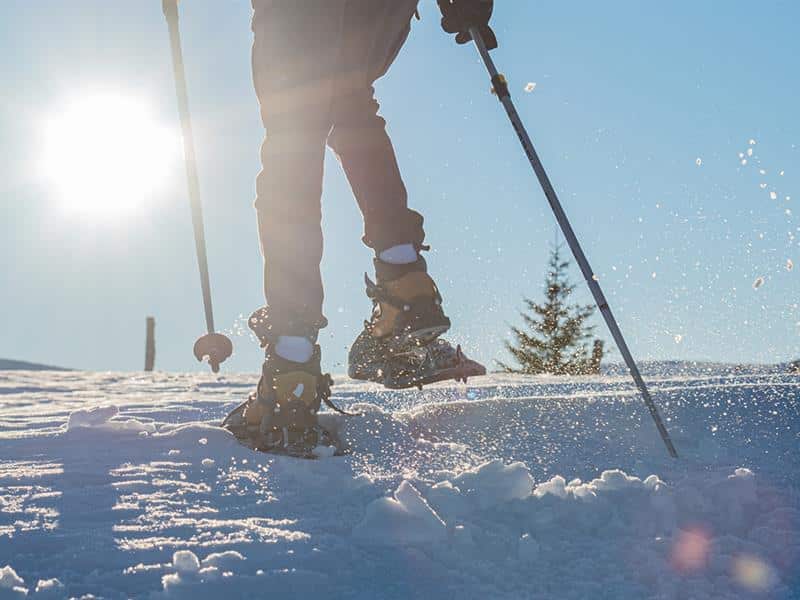 Itinéraire raquettes La Chenille Gérardmer Grand Est