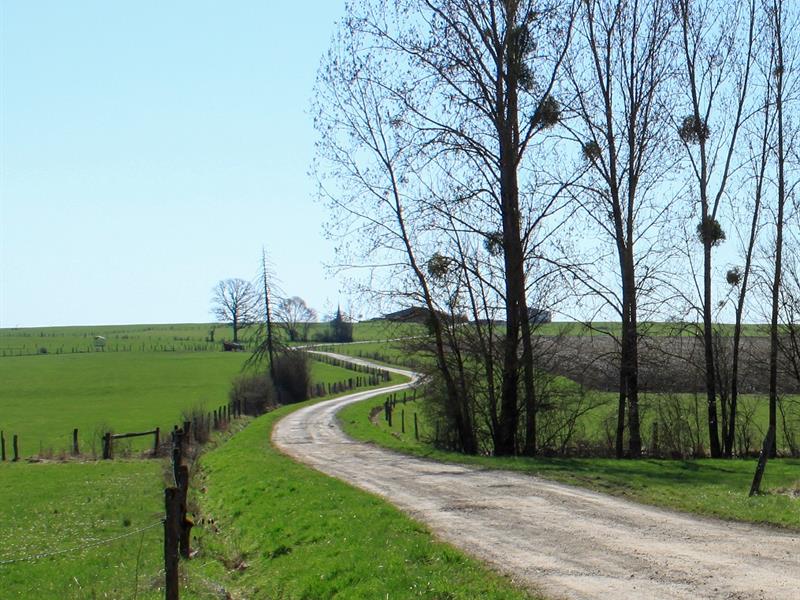 CIRCUIT DES VERRIERS ET DU MASSIF FORESTIER DE MORIVILLE Moriville Grand Est