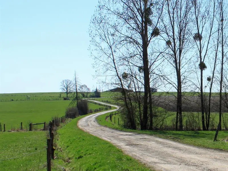 CIRCUIT DES VERRIERS ET DU MASSIF FORESTIER DE MORIVILLE Moriville Grand Est