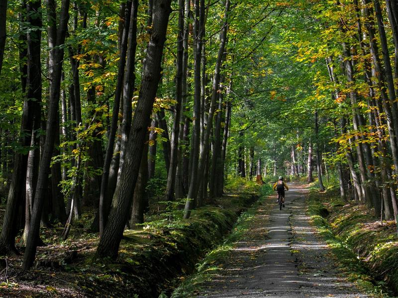 Circuit VTT n°83 la Nivallée Chavelot Grand Est