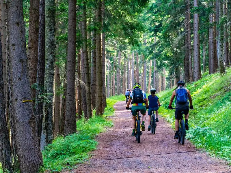 CIRCUIT VTT N°85 LES ÉCLUSES Épinal Grand Est