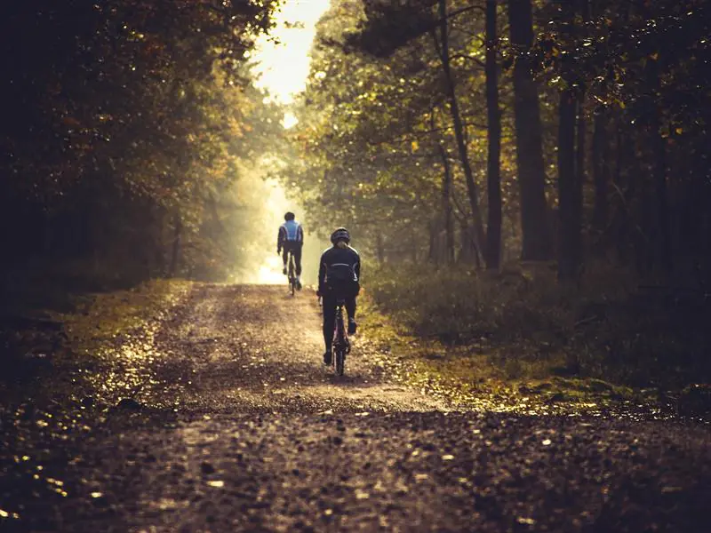 CIRCUIT VTT N°86 DE LA PLAGE DES AMÉRICAINS À LA MICHOTTE Chaumousey Grand Est