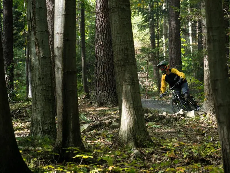 CIRCUIT VTT N°88 L'ÉTANG DE LA COMTESSE Sanchey Grand Est