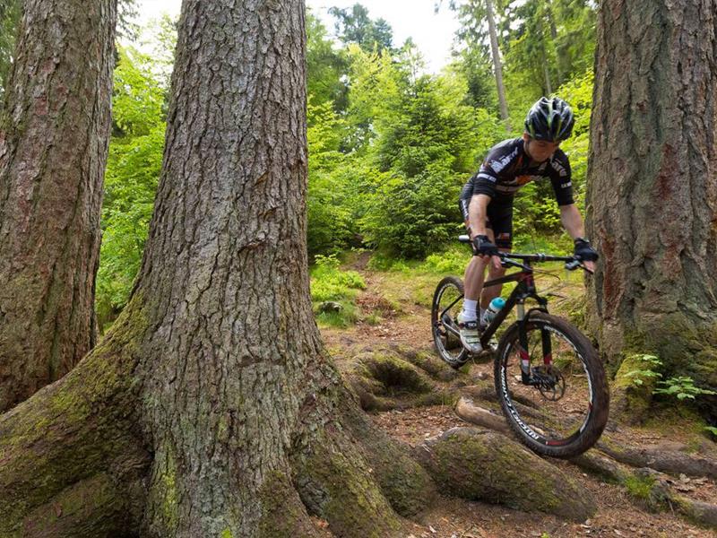 CIRCUIT VTT N° 95 VIEUX SAINT-LAURENT Épinal Grand Est