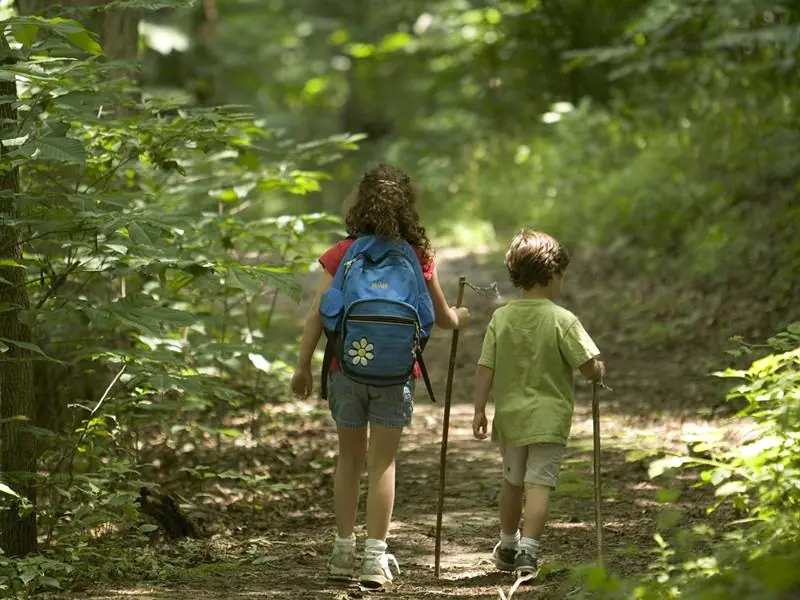 CIRCUIT 30 FORÊTS ET CAMPAGNES Nomexy Grand Est