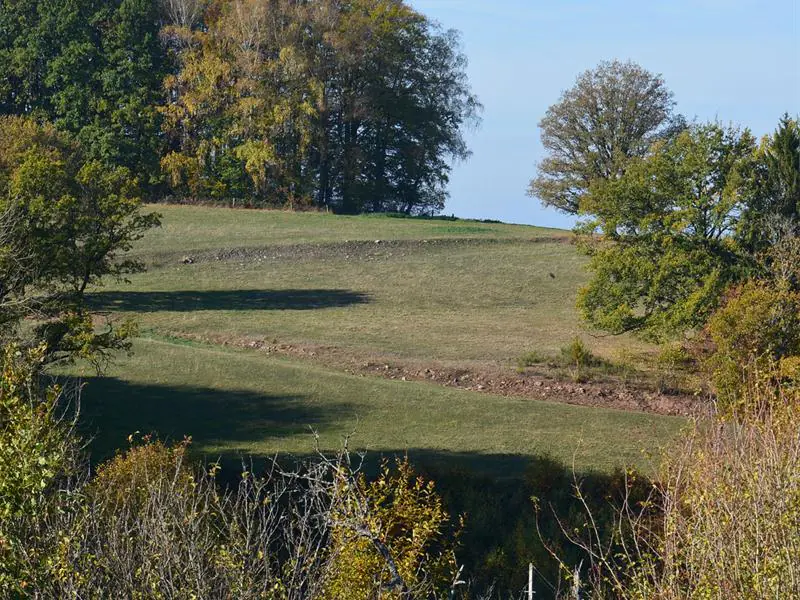 LE XERTIGNY TOUR Xertigny Grand Est