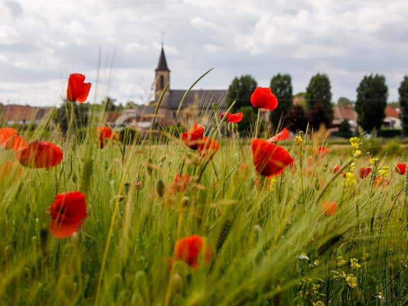 Boucle du Warpich Thionville Grand Est