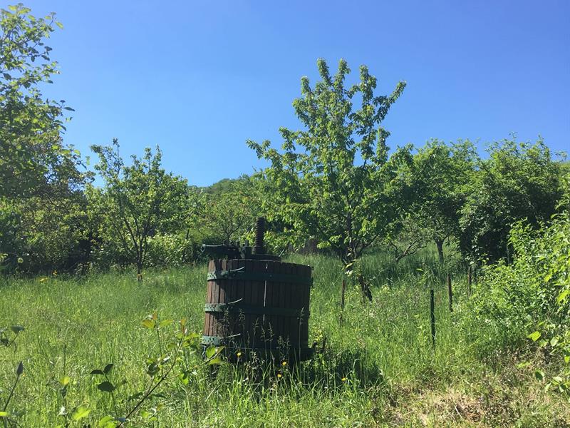 Circuit Saint-Urbain Thionville Grand Est