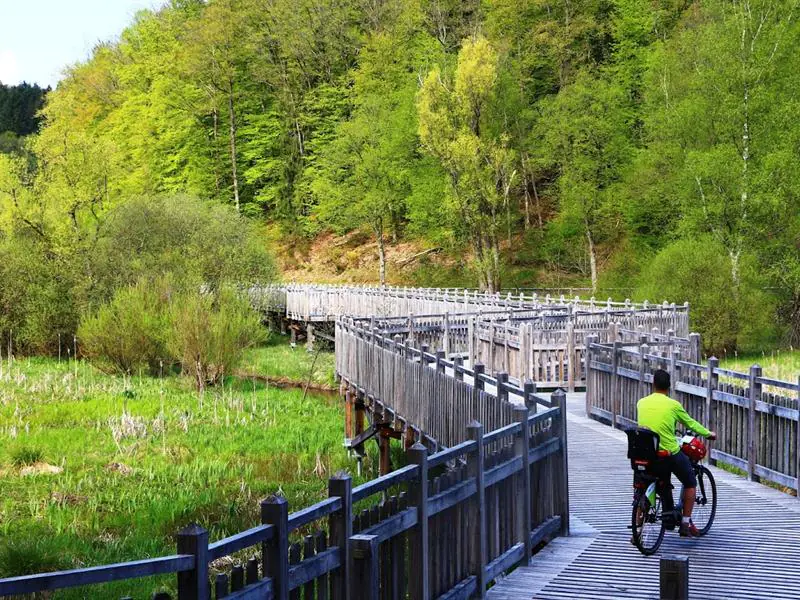 LES PISTES CYCLABLES DU PAYS DE BITCHE WALSCHBRONN BITCHE SAINT-LOUIS-LES-BITCHE 50 KM Bitche Grand Est