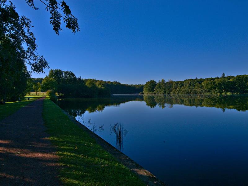 SENTIER DE L'ÉTANG DES ESSARTS Dieuze Grand Est