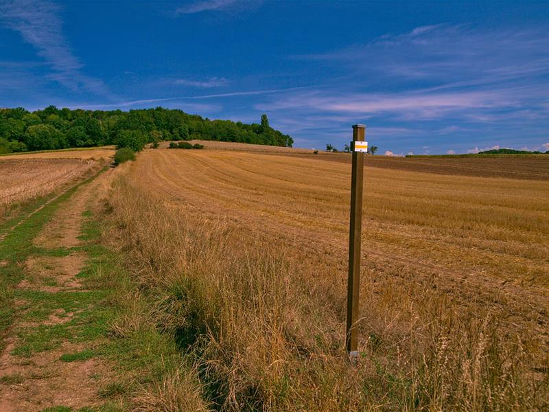 La voie de 60 Saint-Hubert Grand Est
