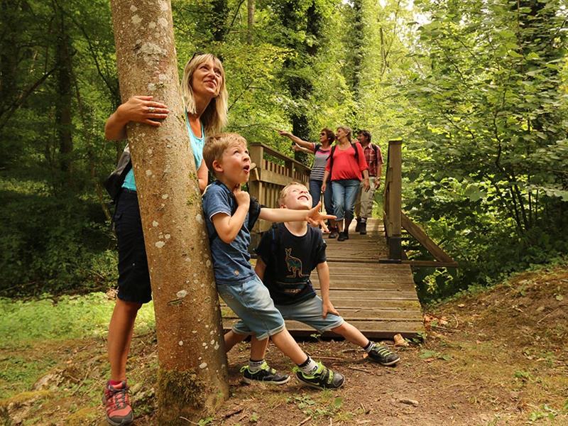 Circuit du Kalbach Boulay-Moselle Grand Est