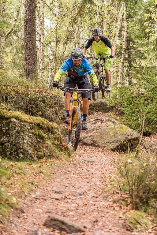 CIRCUIT VTT DES TROIS VALLÉES Phalsbourg Grand Est