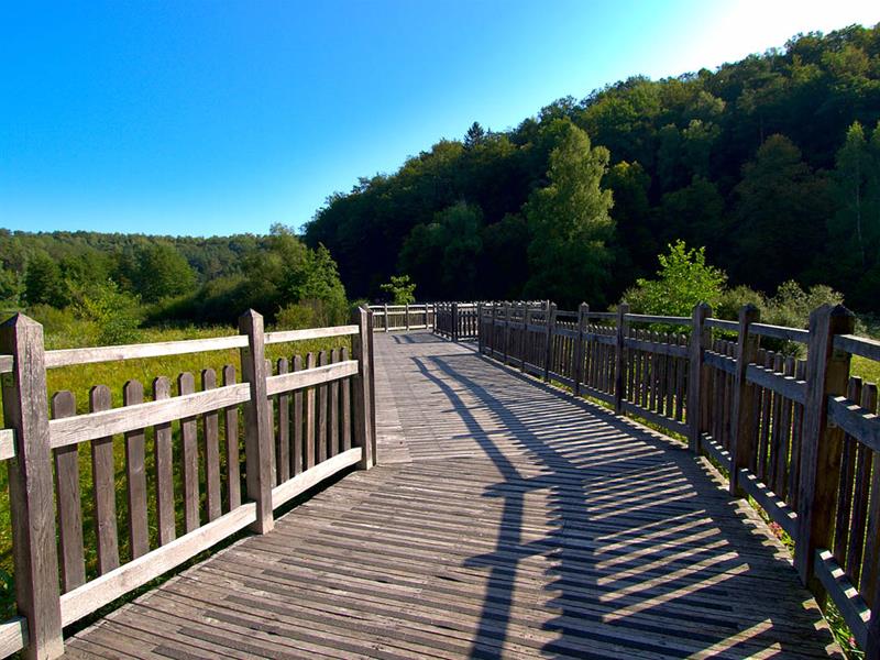 VÉLOROUTE DU PAYS DE BITCHE Lemberg Grand Est