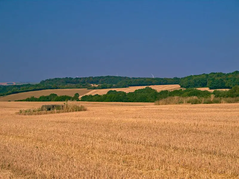 CIRCUIT DE LA VALLÉE DU BAMBESCH Bambiderstroff Grand Est