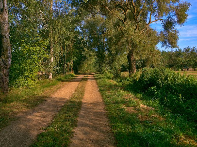 Circuit des châteaux Pange Grand Est