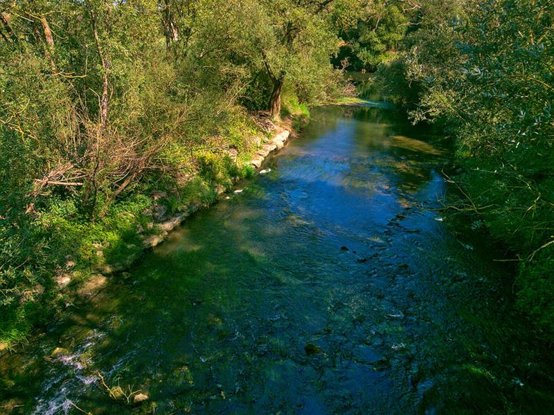 D'une nied à l'autre Condé-Northen Grand Est